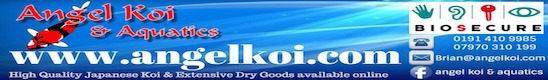 http://www.angelkoi.com